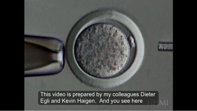 Somatic Cell Nuclear Transfer SCNT Video