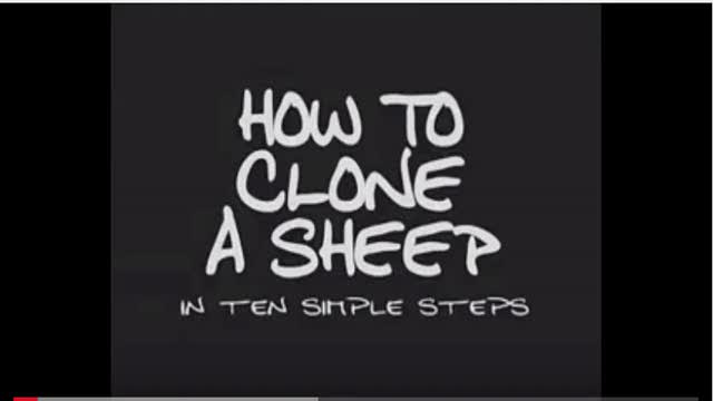 How to Clone Sheep